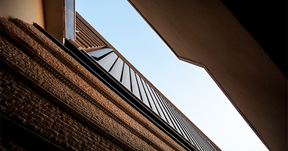 綠色·優(yōu)勢(shì)